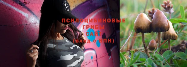 шишки Инсар
